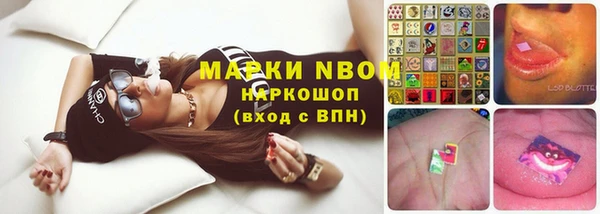 амф Белокуриха