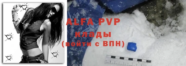 амф Белокуриха